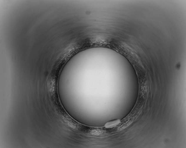 X0000099320708200805091041