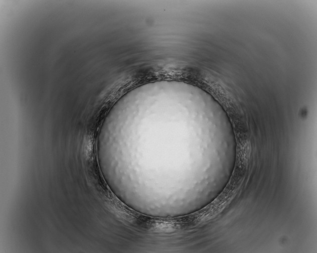 X0000099320709200805091041