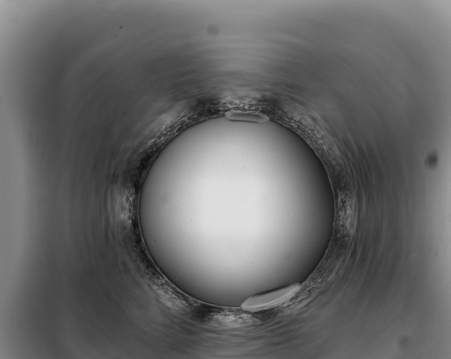 X0000099320712200805091041