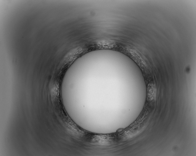 X0000099320713200805091041