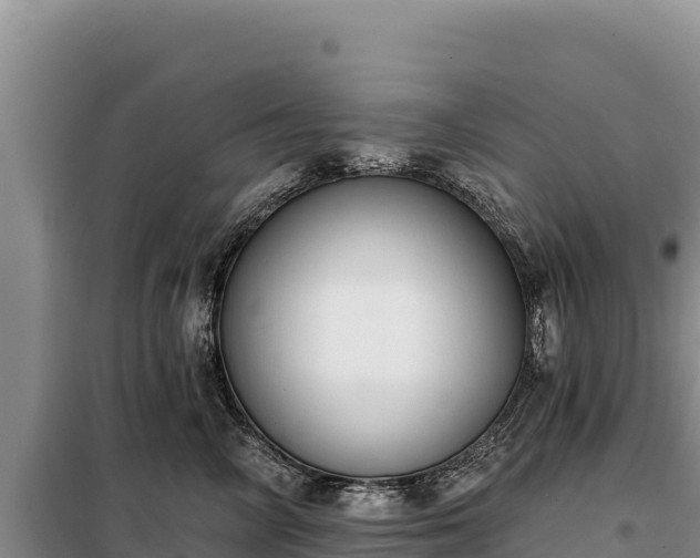 X0000099320714200805091041