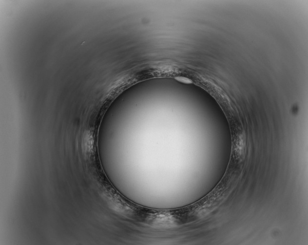 X0000099320715200805091041