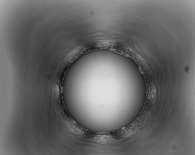 X0000099320716200805091041