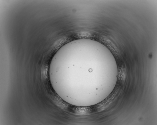 X0000099320717200805091041