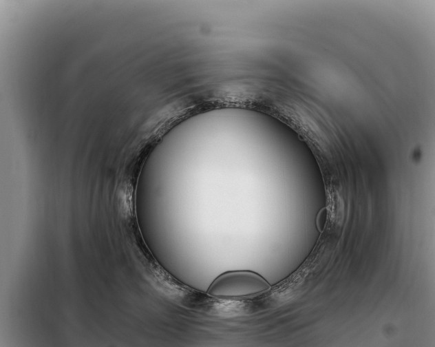 X0000099320718200805091041