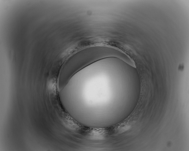 X0000099320720200805091041