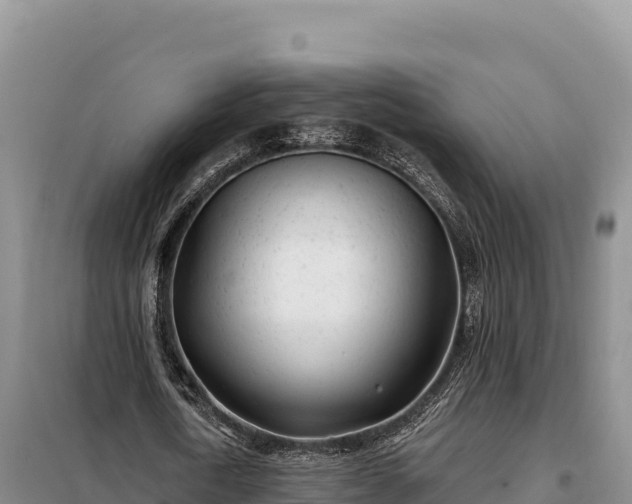 X0000099320722200805091040