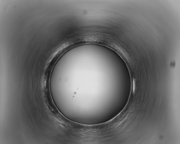 X0000099320723200805091040