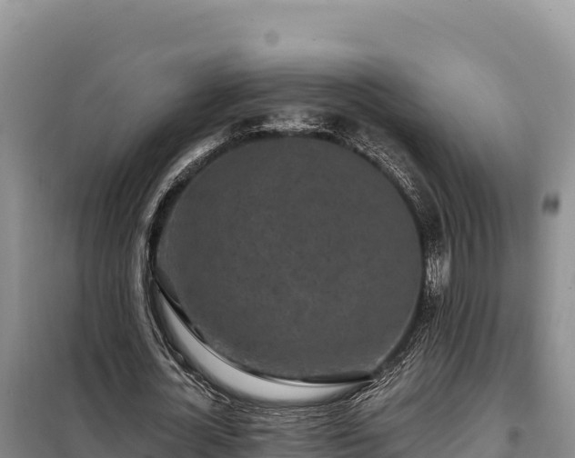 X0000099320724200805091040