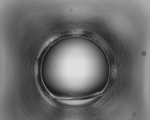 X0000099320726200805091040