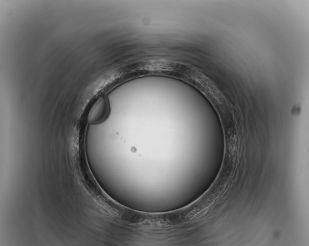 X0000099320727200805091040