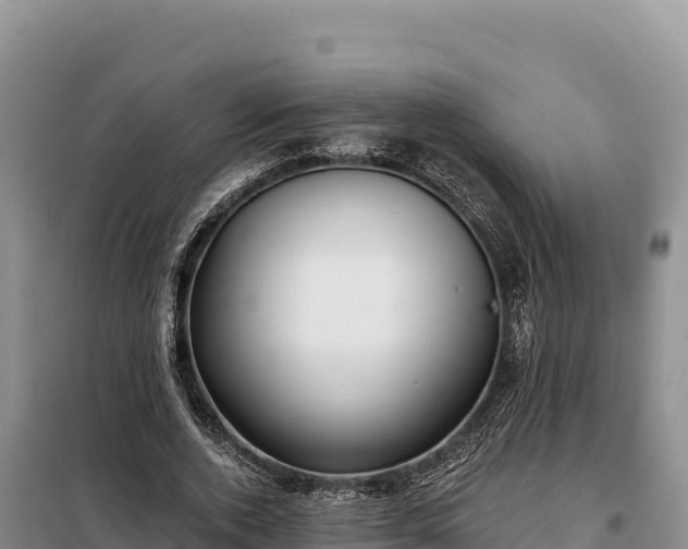 X0000099320728200805091040