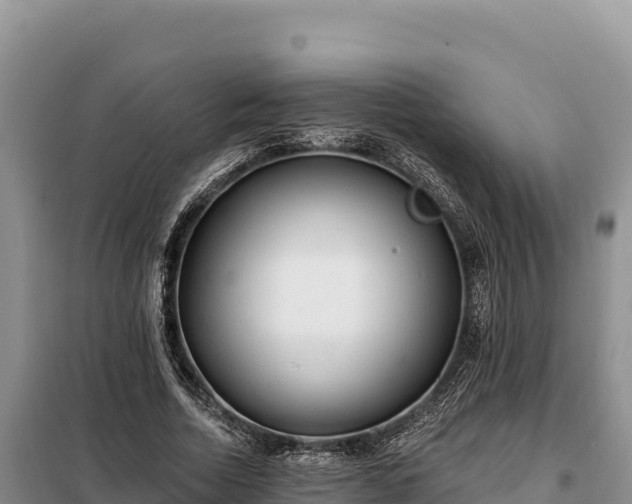 X0000099320730200805091040