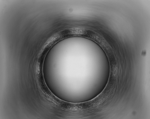 X0000099320731200805091040