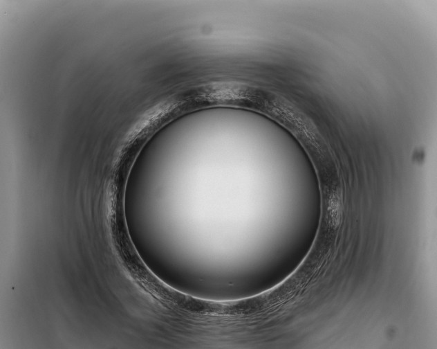 X0000099320732200805091040