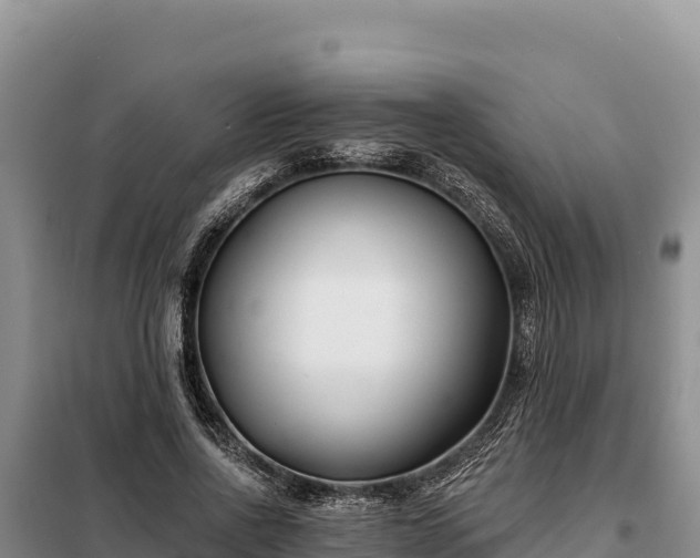 X0000099320734200805091041