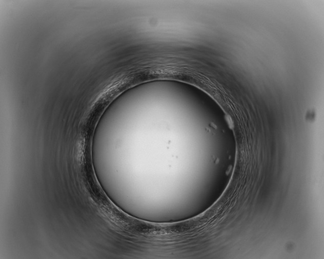 X0000099320735200805091041