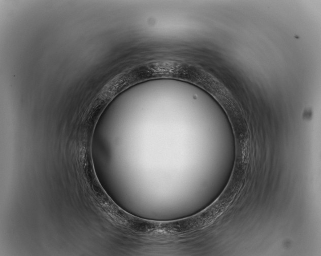 X0000099320737200805091041