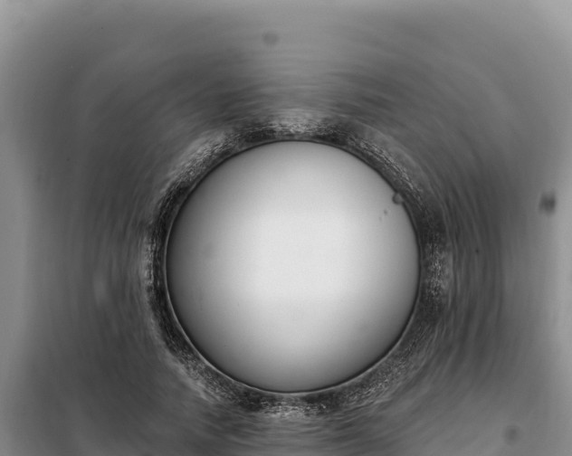 X0000099320738200805091041