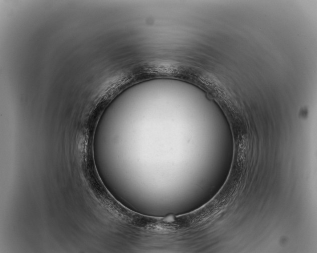 X0000099320739200805091041