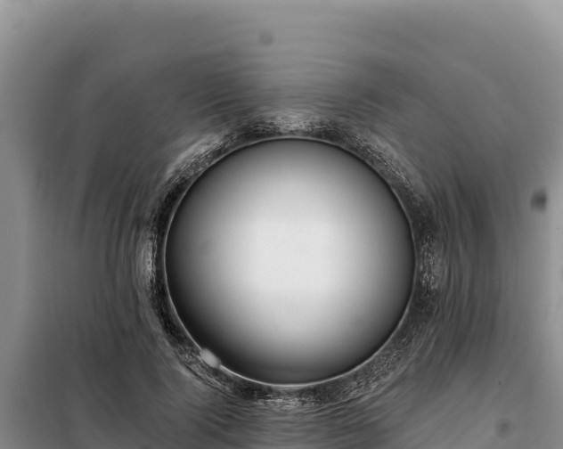 X0000099320740200805091041