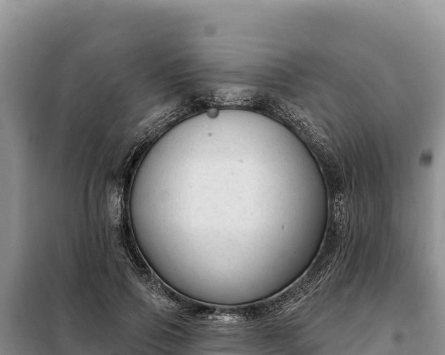 X0000099320741200805091041