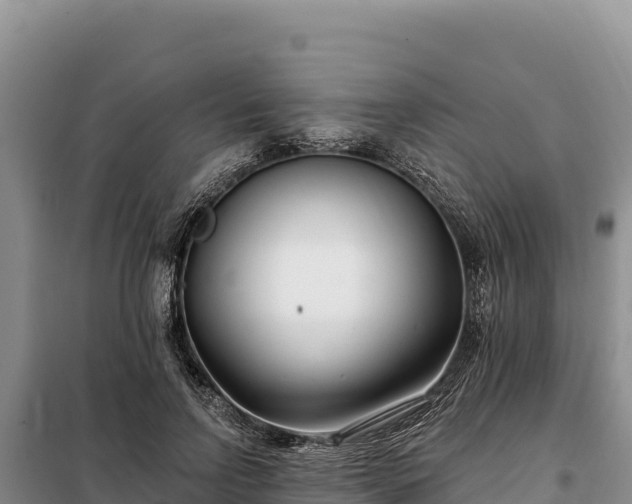 X0000099320742200805091041