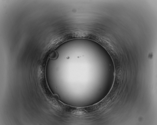 X0000099320743200805091041