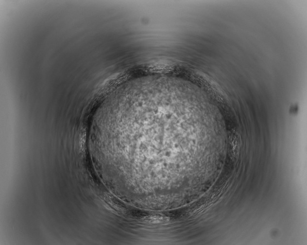 X0000099320745200805091041