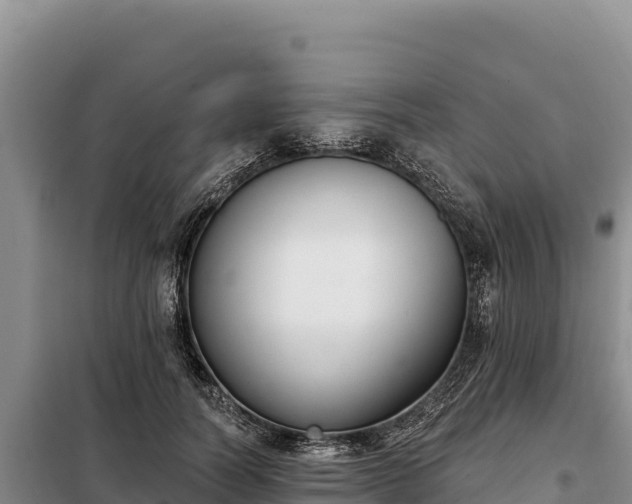 X0000099320746200805091041