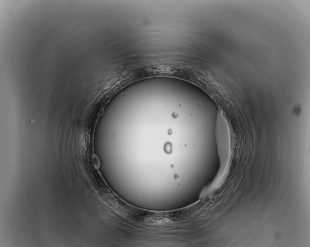 X0000099320747200805091041