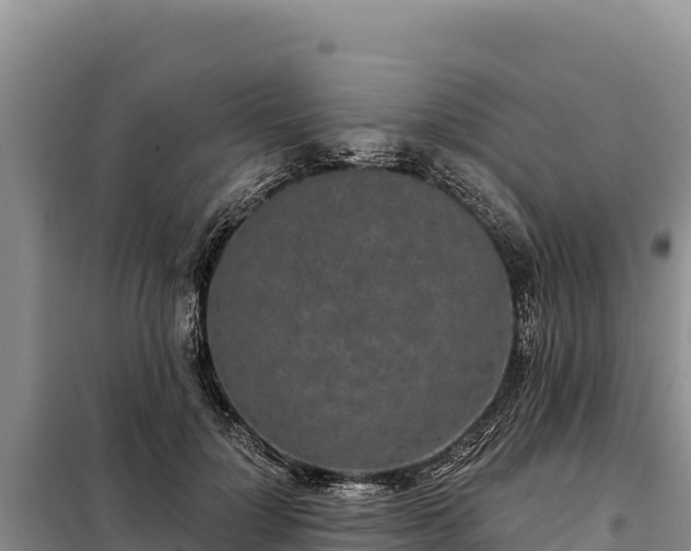 X0000099320748200805091041