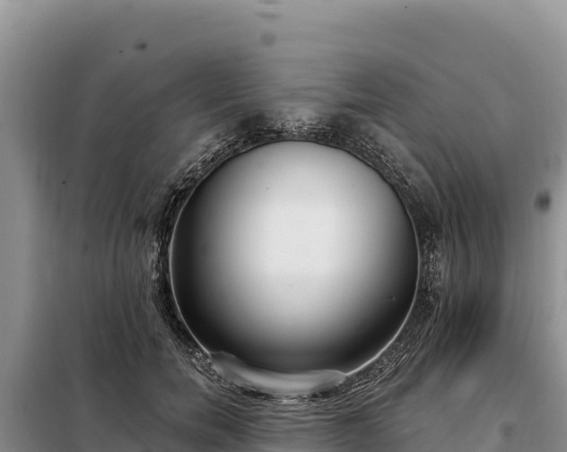 X0000099320750200805091041