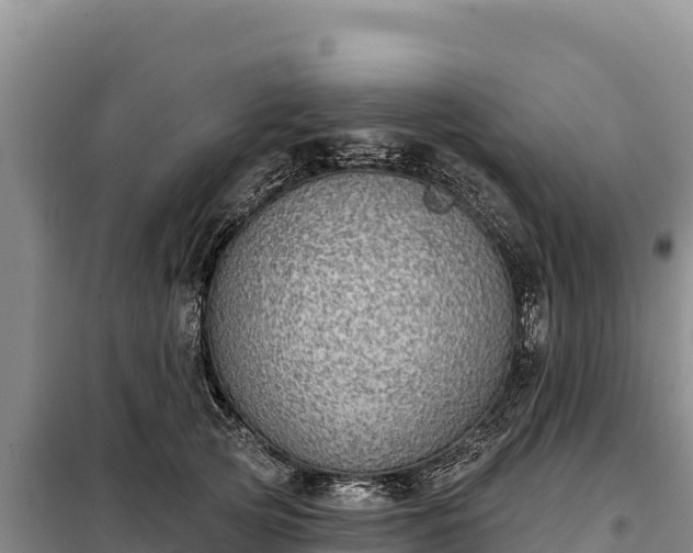 X0000099320753200805091041