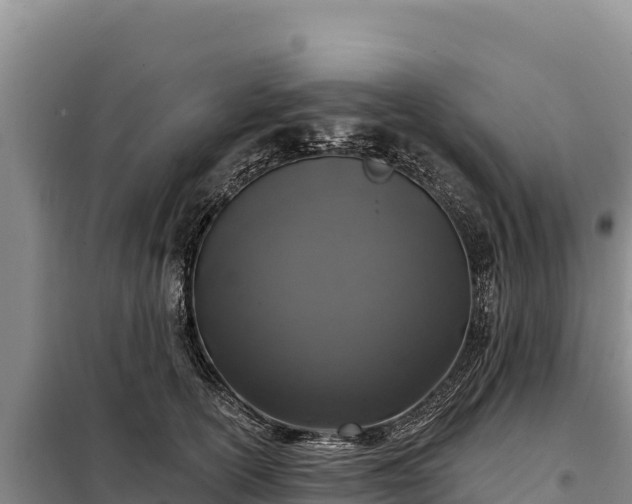 X0000099320754200805091041