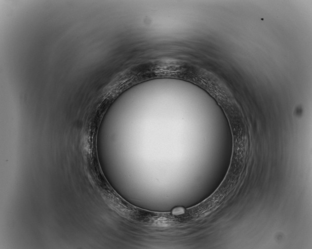 X0000099320755200805091041