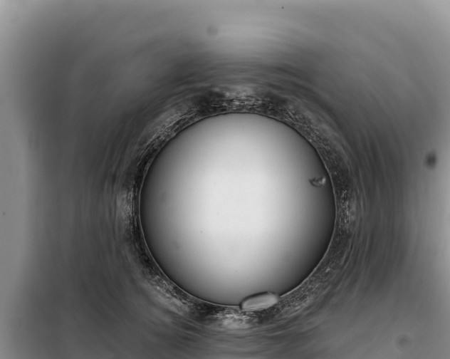 X0000099320756200805091041