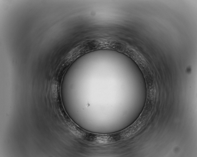 X0000099320757200805091041