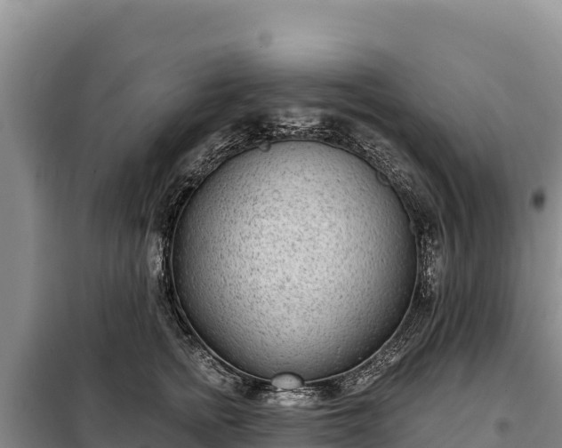 X0000099320758200805091041