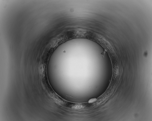 X0000099320759200805091041