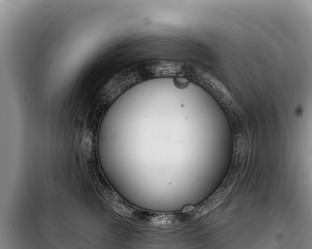 X0000099320761200805091041