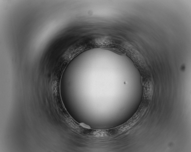 X0000099320762200805091041