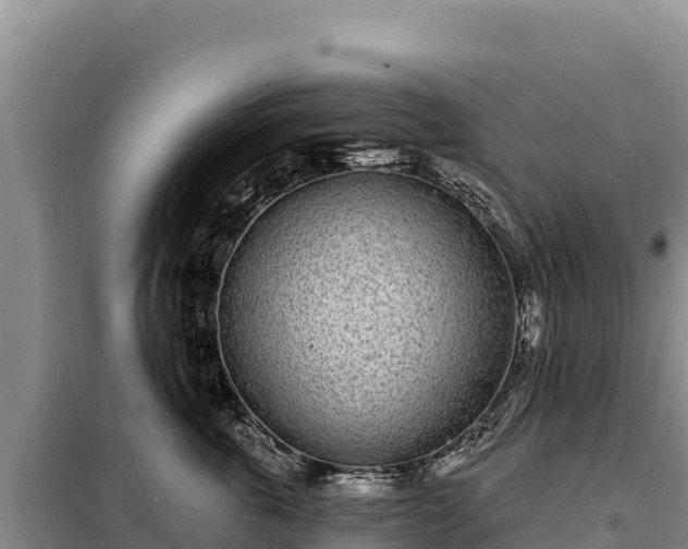 X0000099320763200805091041