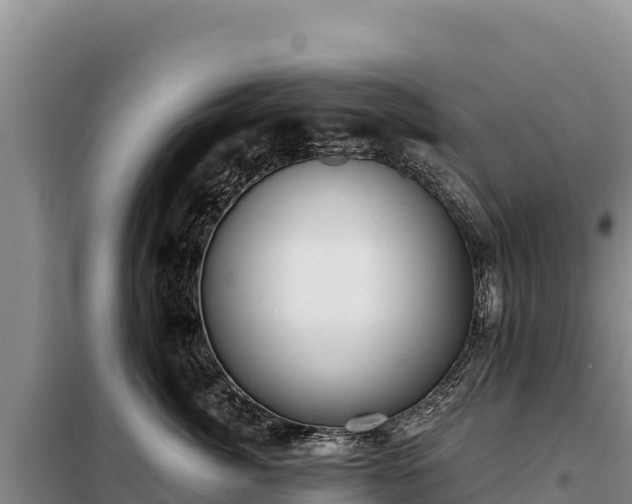 X0000099320764200805091041