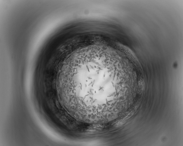 X0000099320765200805091041