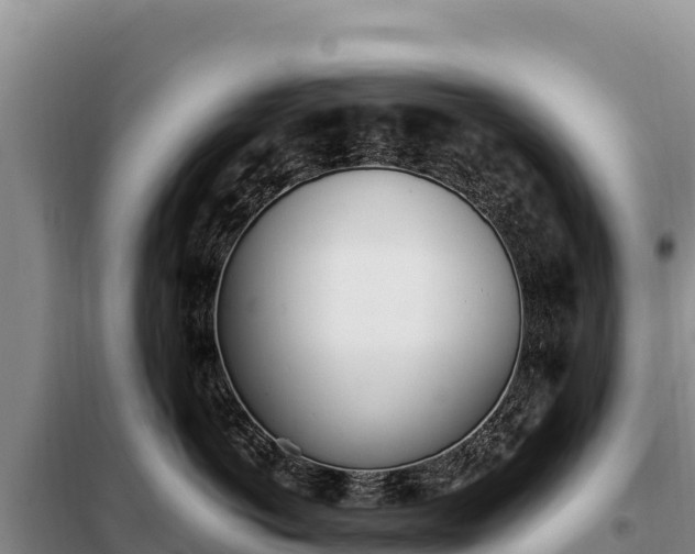 X0000099320766200805091041