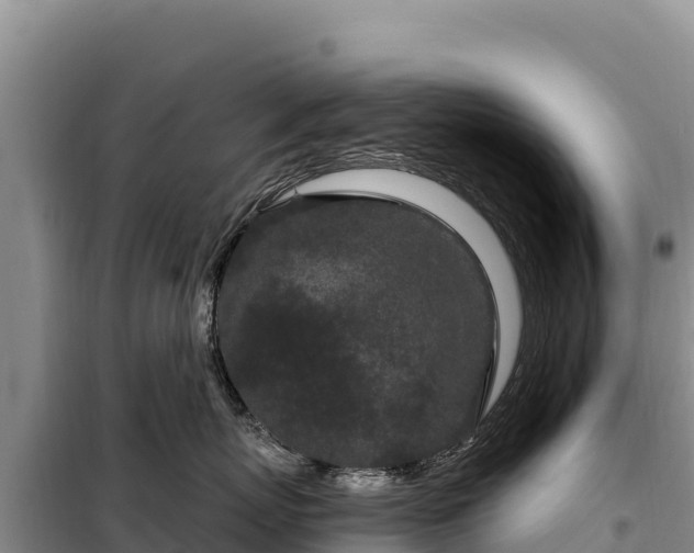 X0000099320767200805091041