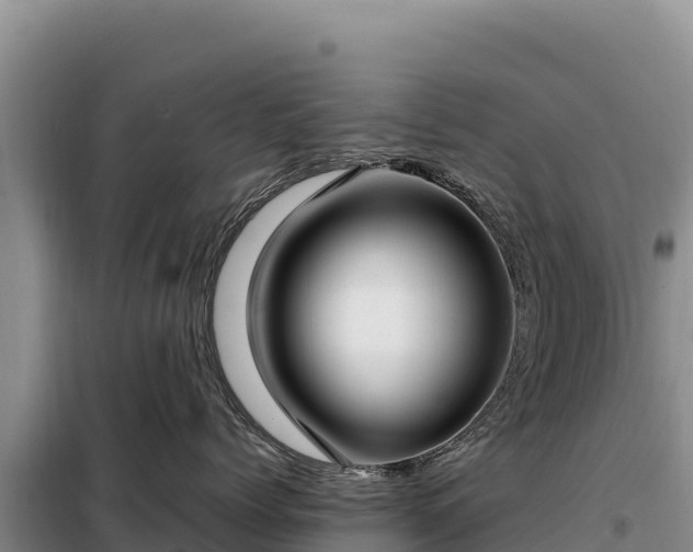 X0000099320768200805091041