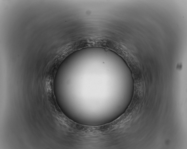 X0000099320770200805091040