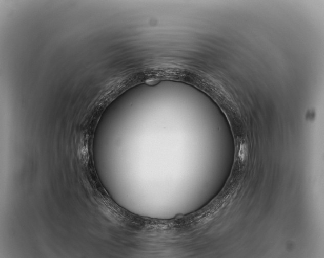 X0000099320771200805091040